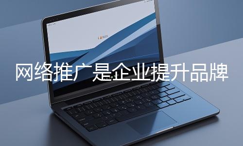 網(wǎng)絡(luò)推廣是企業(yè)提升品牌影響力、拓展市場(chǎng)的重要手段